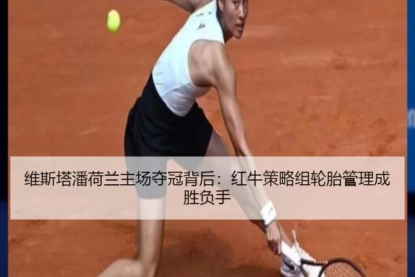 wei-si-ta-pan-he-lan-zhu-chang-duo-guan-bei-hou-hong-niu-ce-lve-zu-lun-tai-guan-li-cheng-sheng-fu-shou-3-786.jpg
